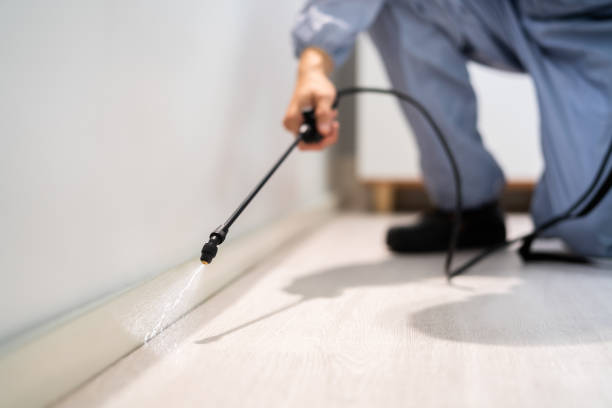 Bed Bug Pre-Treatment Preparation Assessment in Madison
