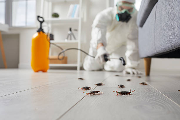 Post-Treatment Bed Bug Interceptor Monitoring in Madison